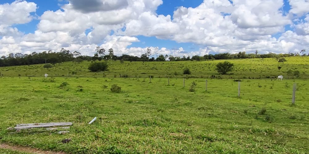 WhatsApp Image 2025-10-31 at 10.11.02 (2)