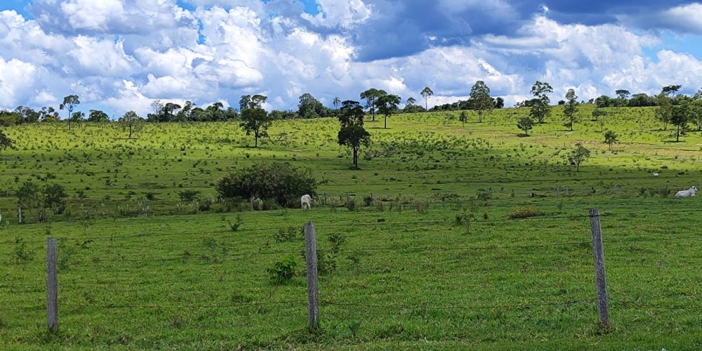 WhatsApp Image 2025-10-31 at 10.11.02 (3)