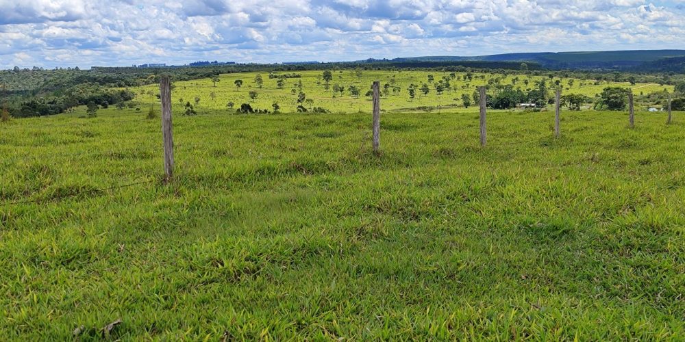 WhatsApp Image 2025-10-31 at 10.11.02