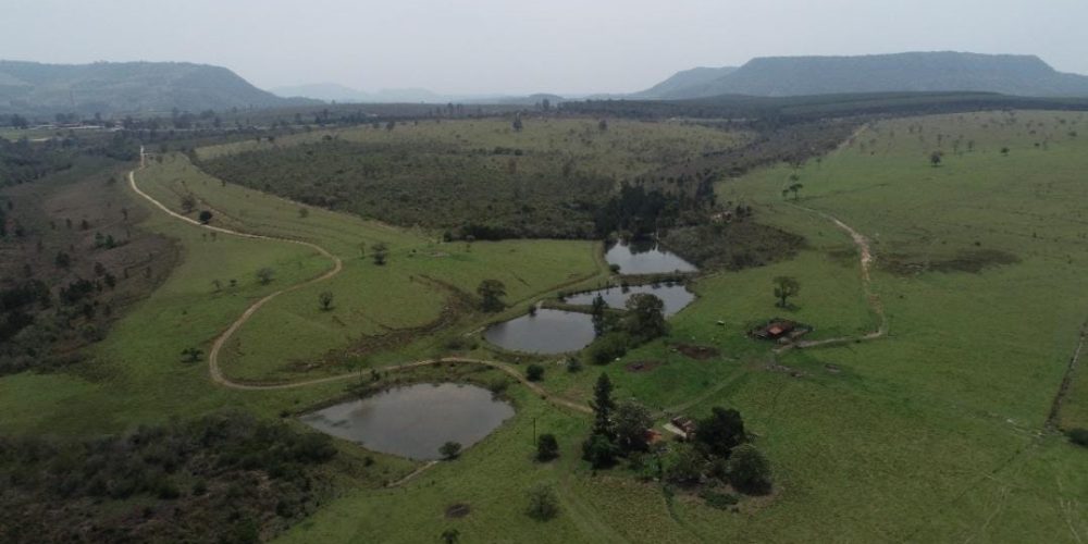 WhatsApp Image 2025-10-31 at 10.11.03 (1)