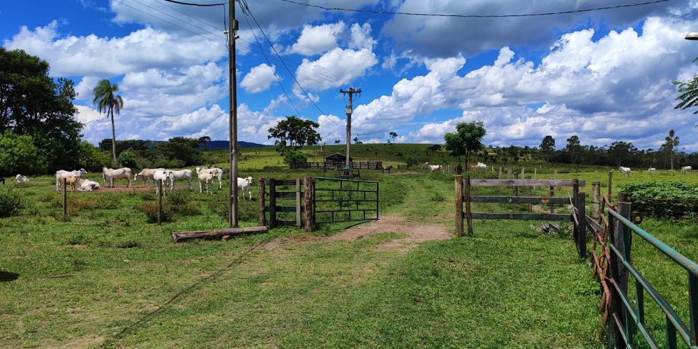 WhatsApp Image 2025-10-31 at 10.11.03