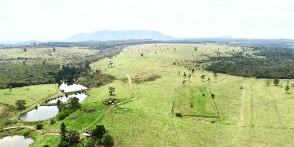 WhatsApp Image 2025-10-31 at 10.11.04 (1)