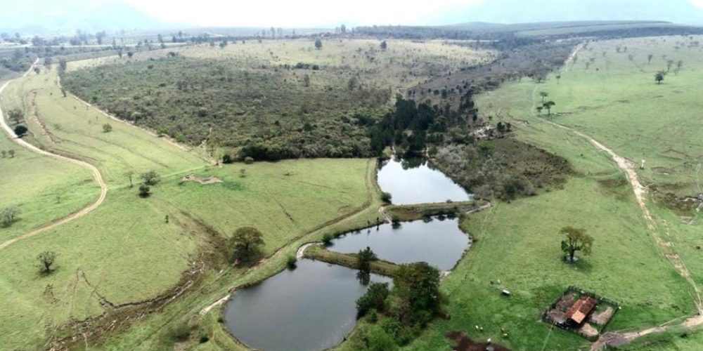 WhatsApp Image 2025-10-31 at 10.11.04 (3)