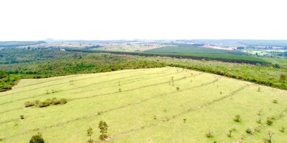 WhatsApp Image 2025-10-31 at 10.11.05 (1)