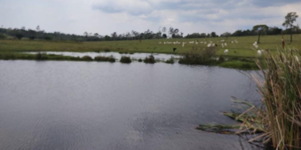 WhatsApp Image 2025-10-31 at 10.11.05 (2)