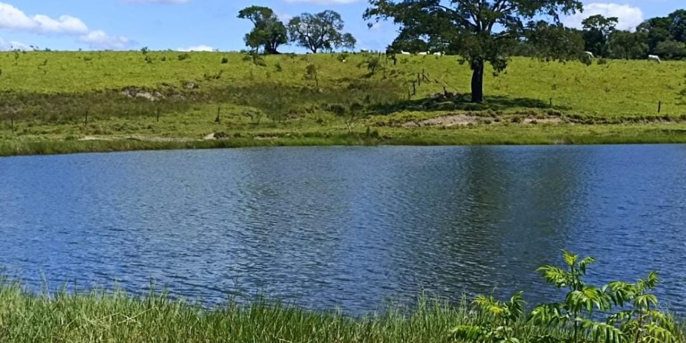 WhatsApp Image 2025-10-31 at 10.11.05 (3)