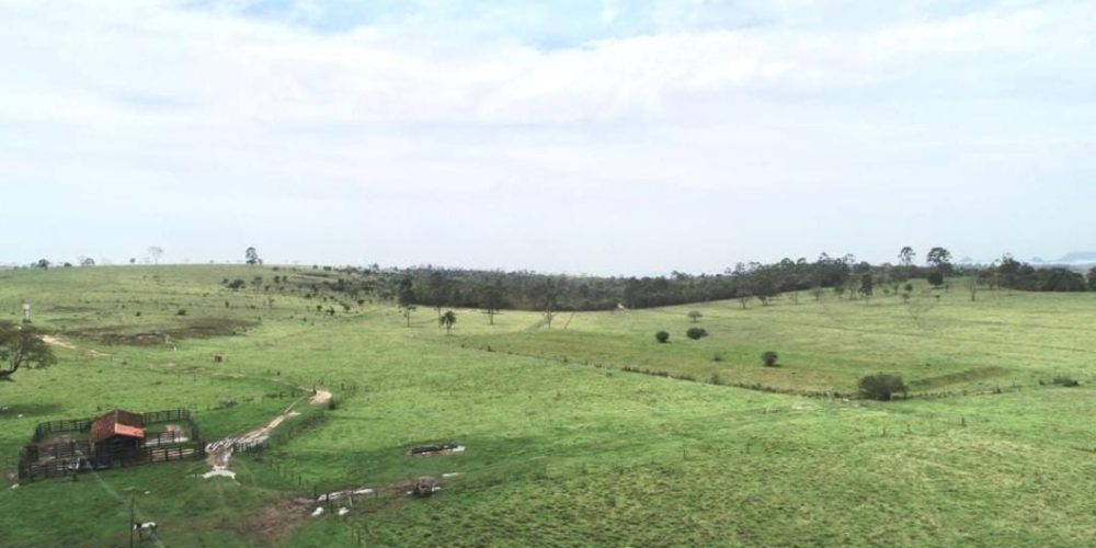 WhatsApp Image 2025-10-31 at 10.11.05