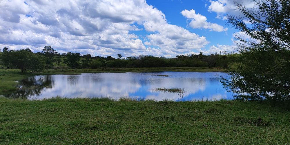 WhatsApp Image 2025-10-31 at 10.11.06 (1)