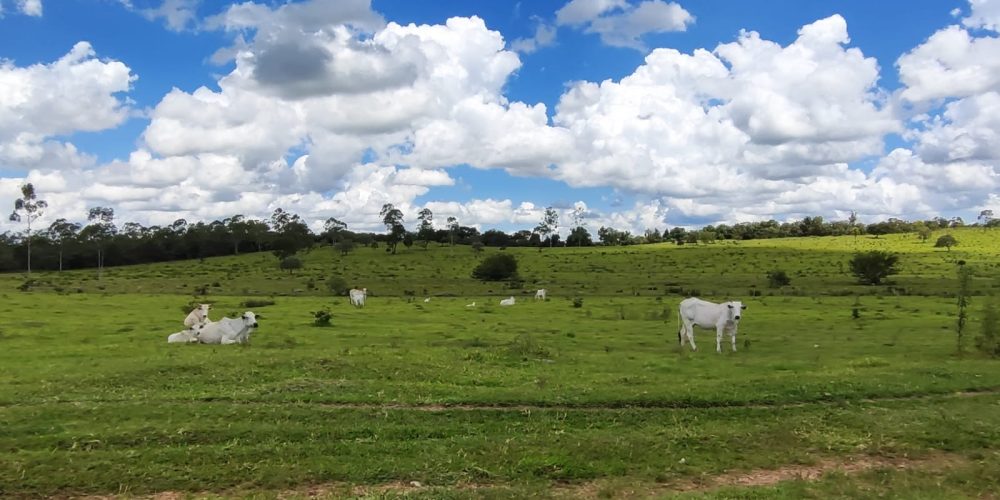 WhatsApp Image 2025-10-31 at 10.11.06 (2)