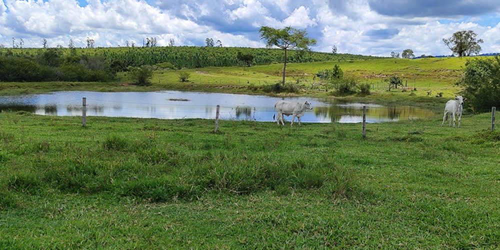 WhatsApp Image 2025-10-31 at 10.11.06