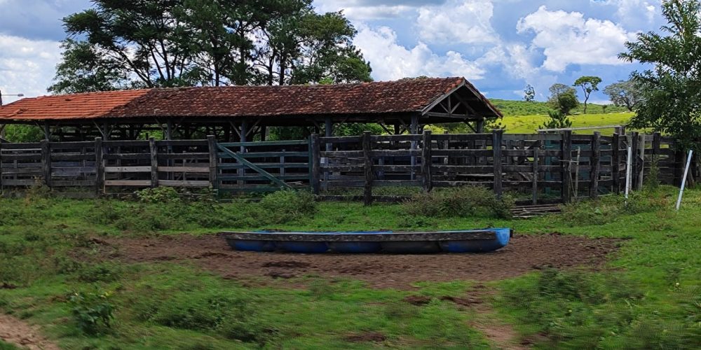 WhatsApp Image 2025-10-31 at 10.11.07 (1)