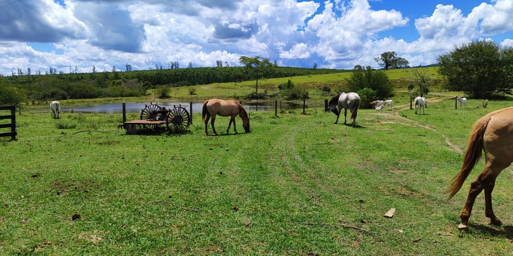 WhatsApp Image 2025-10-31 at 10.11.07 (2)