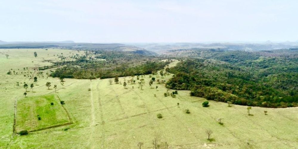 WhatsApp Image 2025-10-31 at 10.11.07 (3)