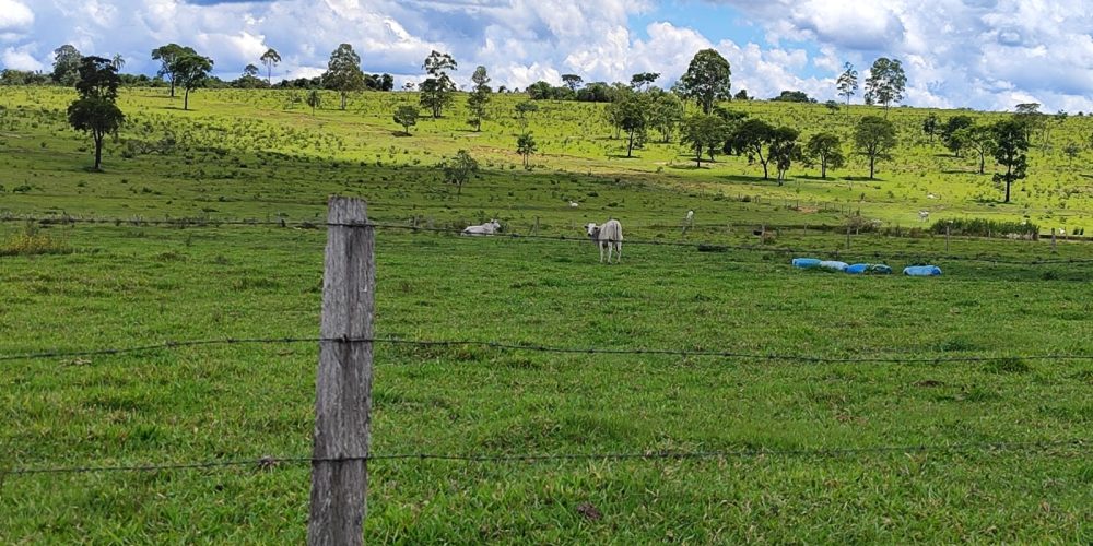 WhatsApp Image 2025-10-31 at 10.11.07