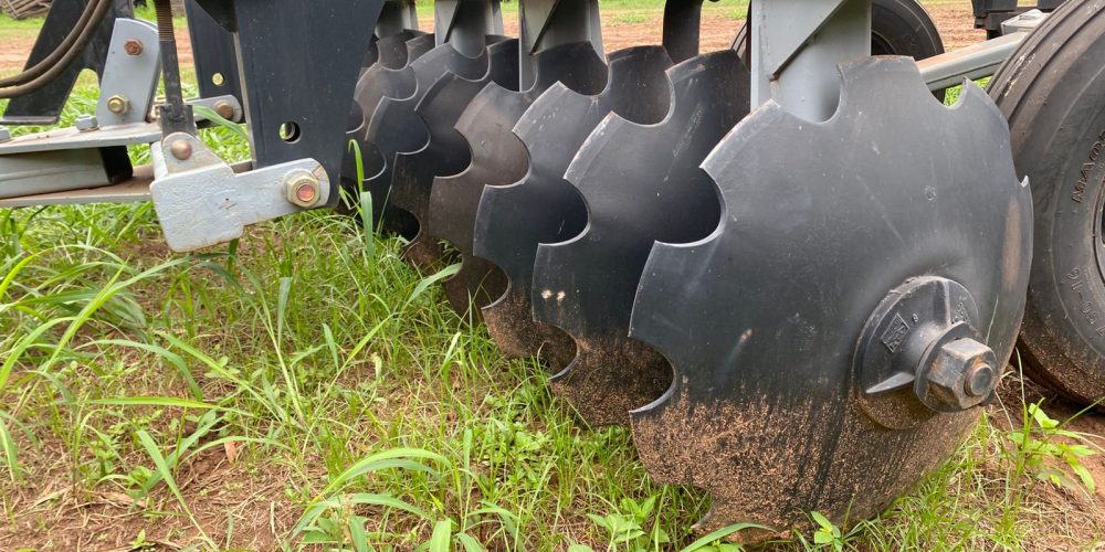 WhatsApp Image 2025-10-31 at 11.21.22 (2)