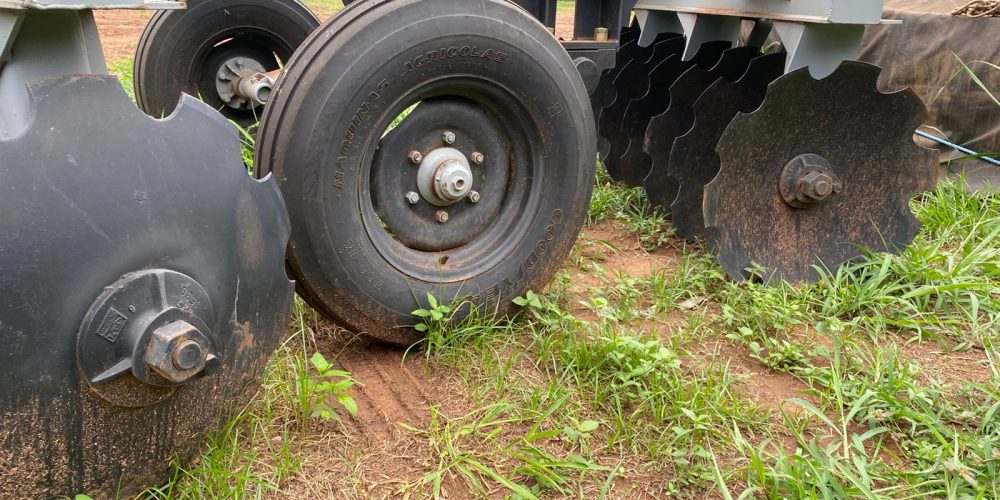 WhatsApp Image 2025-10-31 at 11.21.22 (3)