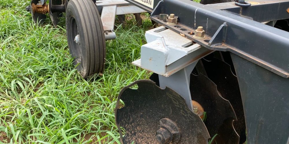 WhatsApp Image 2025-10-31 at 11.21.23 (1)