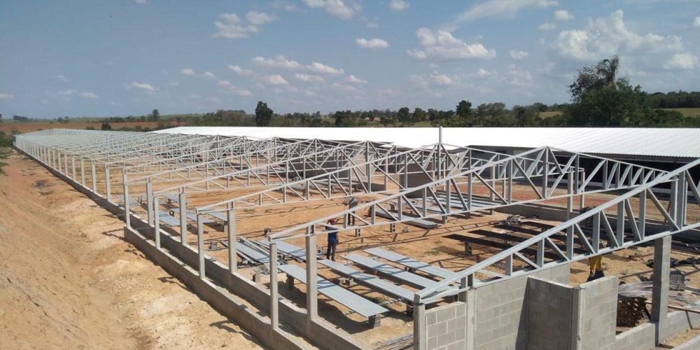 WhatsApp Image 2025-10-31 at 21.27.31 (3)