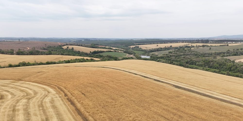 WhatsApp Image 2025-11-07 at 07.30.30 (1)