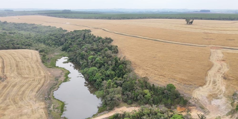 WhatsApp Image 2025-11-07 at 07.30.30 (2)