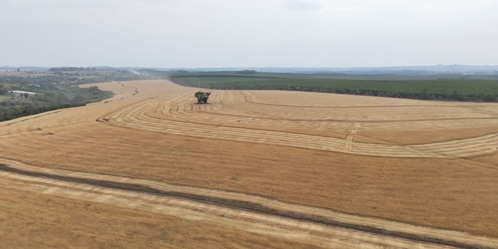 WhatsApp Image 2025-11-07 at 07.30.30 (3)