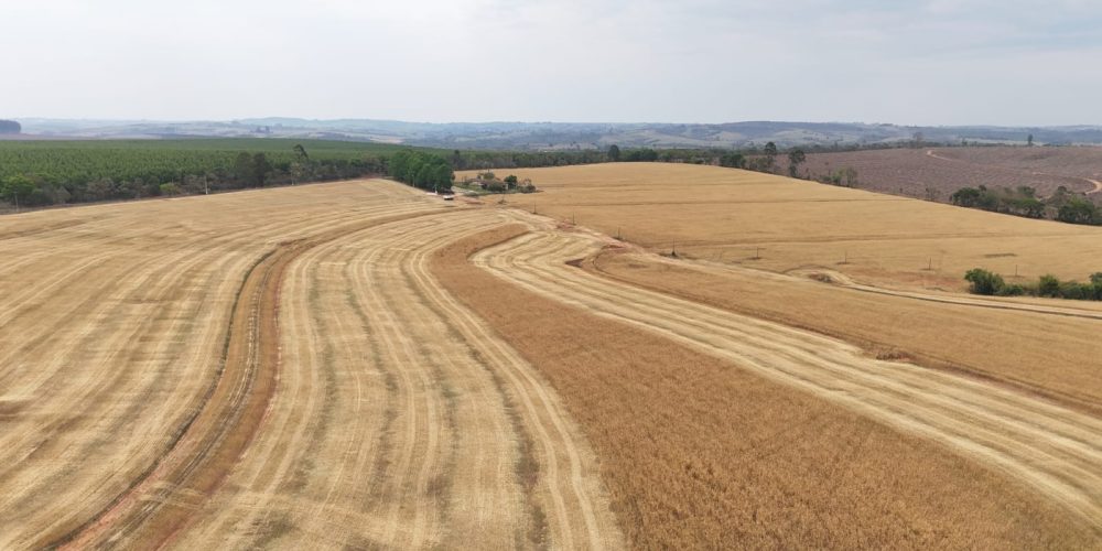 WhatsApp Image 2025-11-07 at 07.30.30 (4)