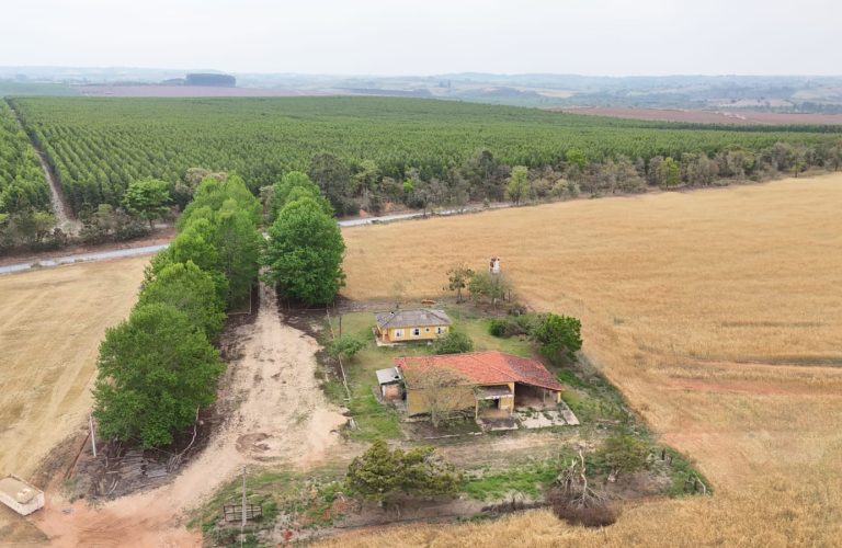 WhatsApp Image 2025-11-07 at 07.30.30