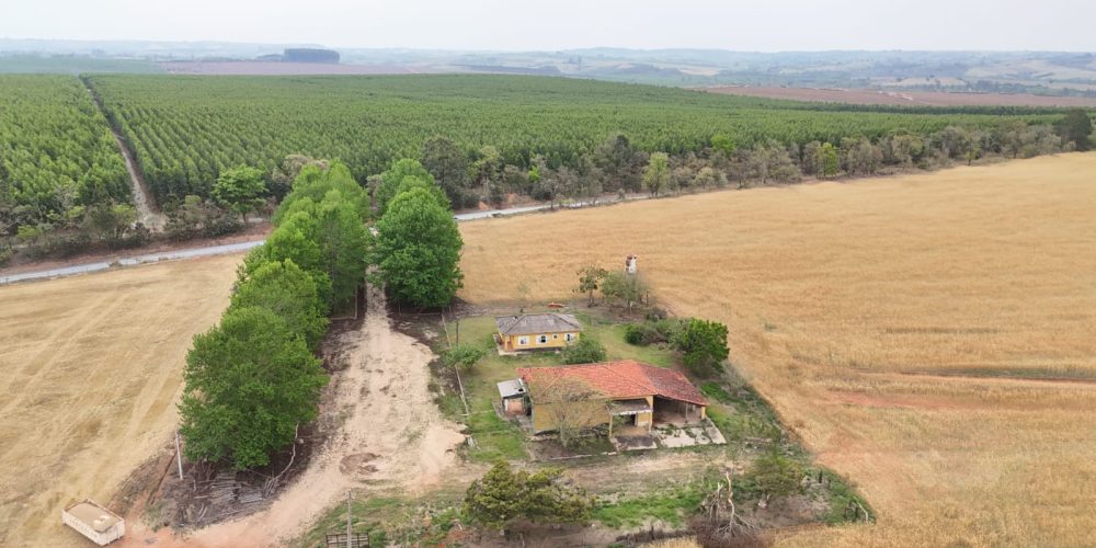 WhatsApp Image 2025-11-07 at 07.30.30