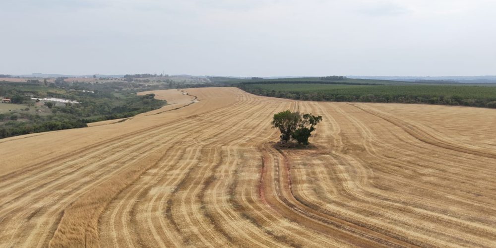 WhatsApp Image 2025-11-07 at 07.30.31 (1)