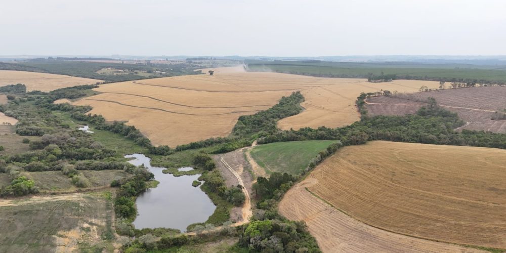 WhatsApp Image 2025-11-07 at 07.30.31 (3)