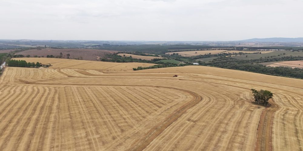 WhatsApp Image 2025-11-07 at 07.30.31 (4)