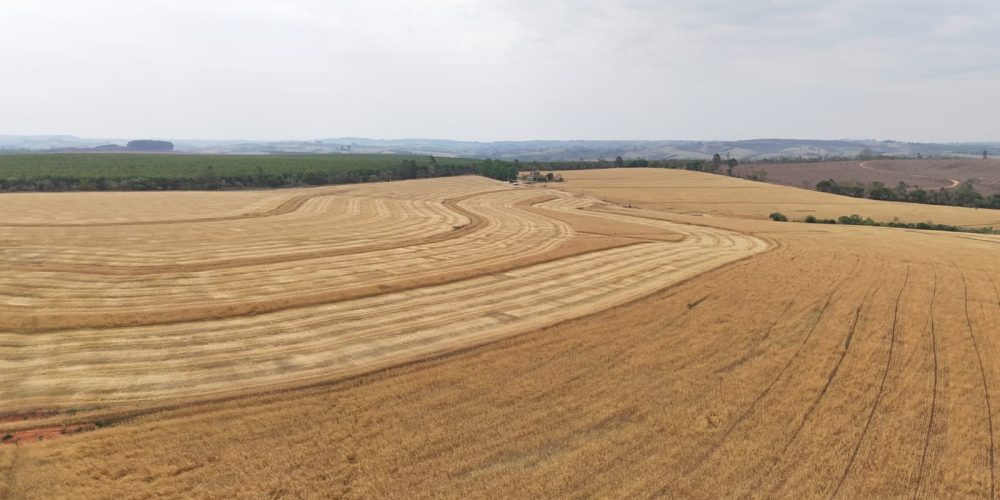 WhatsApp Image 2025-11-07 at 07.30.31