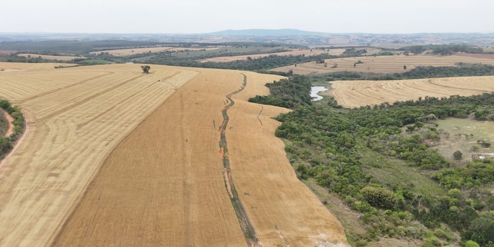 WhatsApp Image 2025-11-07 at 07.30.32 (1)