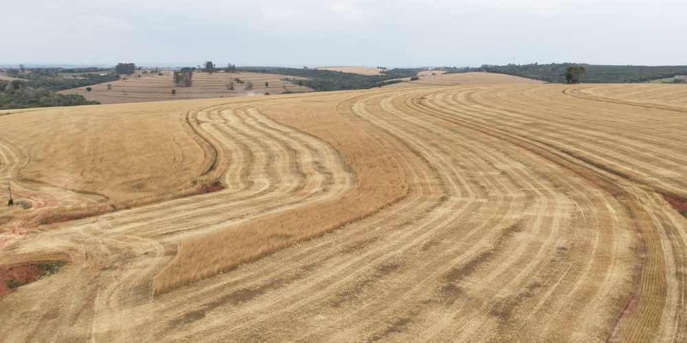 WhatsApp Image 2025-11-07 at 07.30.32 (2)