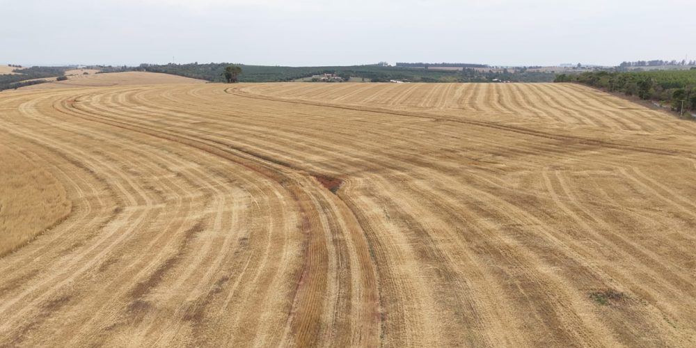 WhatsApp Image 2025-11-07 at 07.30.32 (3)