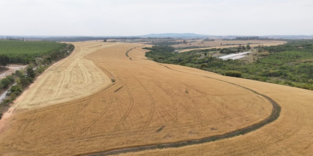 WhatsApp Image 2025-11-07 at 07.30.32