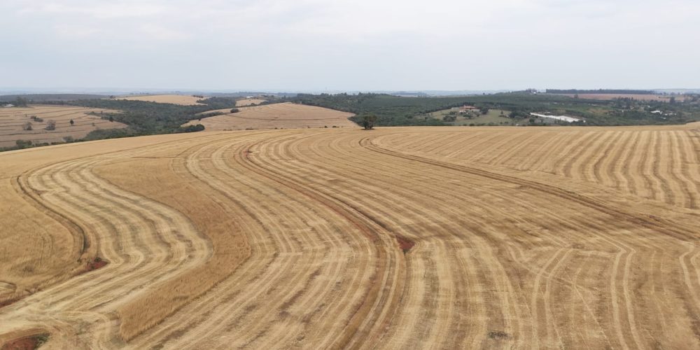 WhatsApp Image 2025-11-07 at 07.30.33 (1)