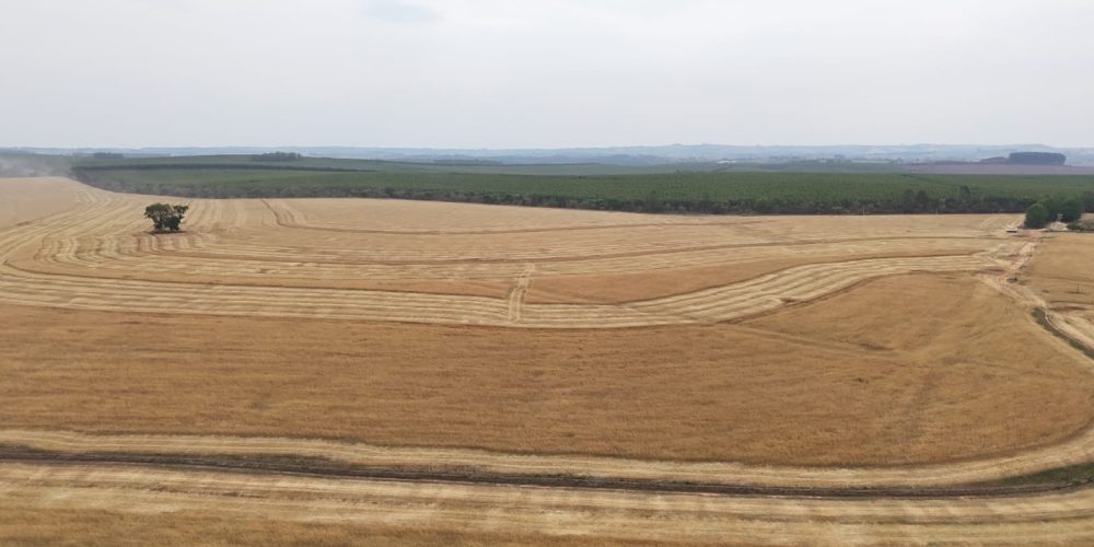 WhatsApp Image 2025-11-07 at 07.30.33 (2)