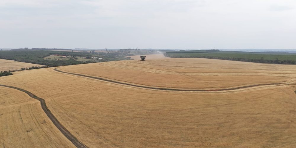 WhatsApp Image 2025-11-07 at 07.30.33 (3)