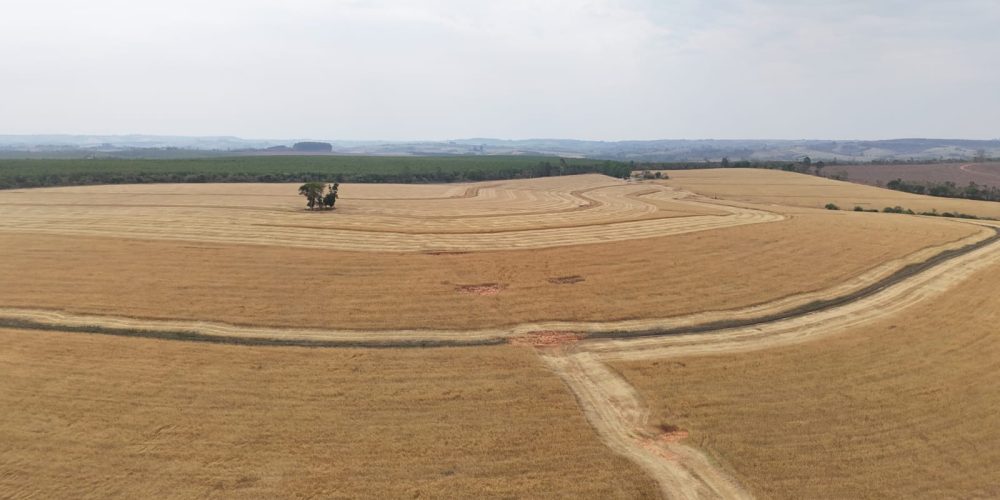 WhatsApp Image 2025-11-07 at 07.30.33 (4)