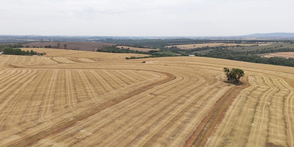 WhatsApp Image 2025-11-07 at 07.30.33