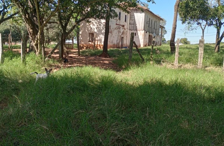 WhatsApp Image 2026-03-08 at 17.45.22