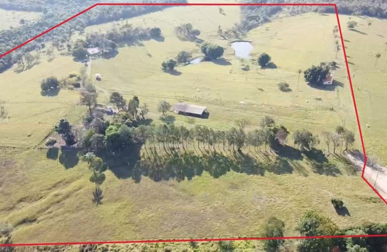 WhatsApp Image 2026-03-11 at 06.14.58