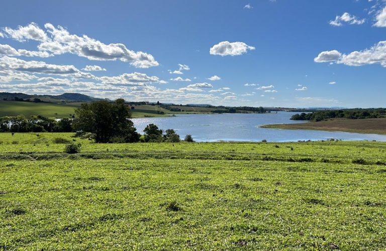 WhatsApp Image 2026-03-11 at 10.38.41